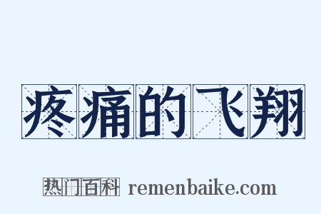 疼痛的飞翔是什么意思的图片